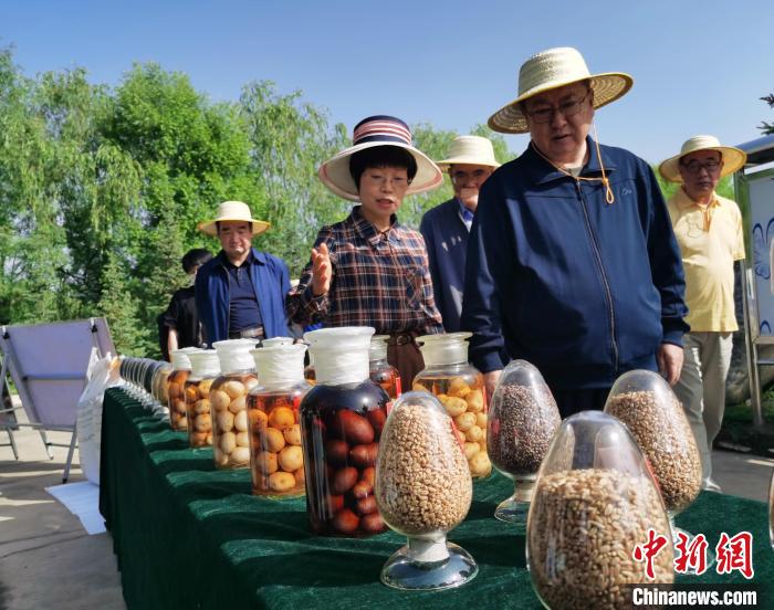 青海：利用冷涼氣候，打造高原綠色種業(yè)輸出地