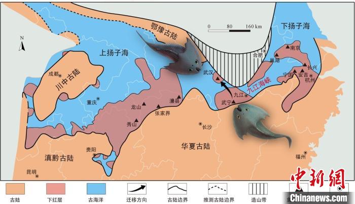 華南地區(qū)志留紀(jì)早期古地理圖和盔甲魚類化石產(chǎn)地(山顯任改自陳旭、戎嘉余，1996；戎嘉余等，2012) 中科院古脊椎所 供圖