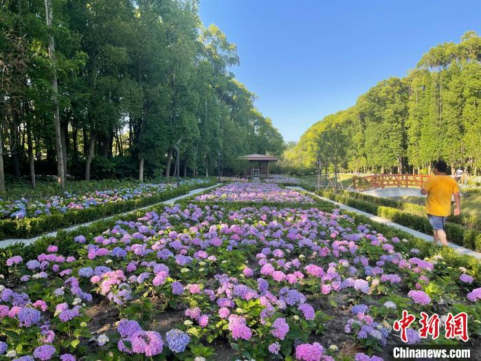 納民意、匯民智上海努力讓“公園城市”建設真正“合民心”