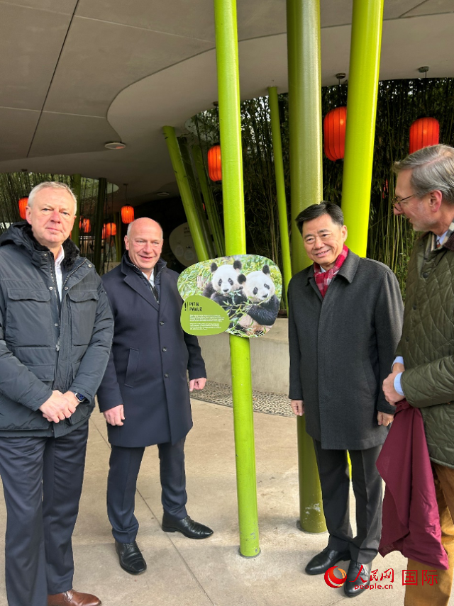 中國駐德國大使吳懇（右二）、柏林市長韋格納（左二）、動物園園長克尼里姆（右一）和監(jiān)事會主席布魯克曼（左一）共同為“夢想”“夢圓”大熊貓紀(jì)念牌揭幕。人民網(wǎng)記者 徐馨攝