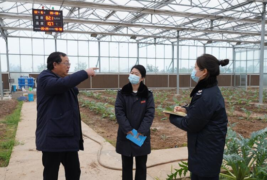 稅務(wù)干部走進常德市西洞庭管理區(qū)的朝鮮薊種植基地，宣傳稅費優(yōu)惠政策，助力農(nóng)企搶農(nóng)時、抓春耕、穩(wěn)增長。吳家豪攝