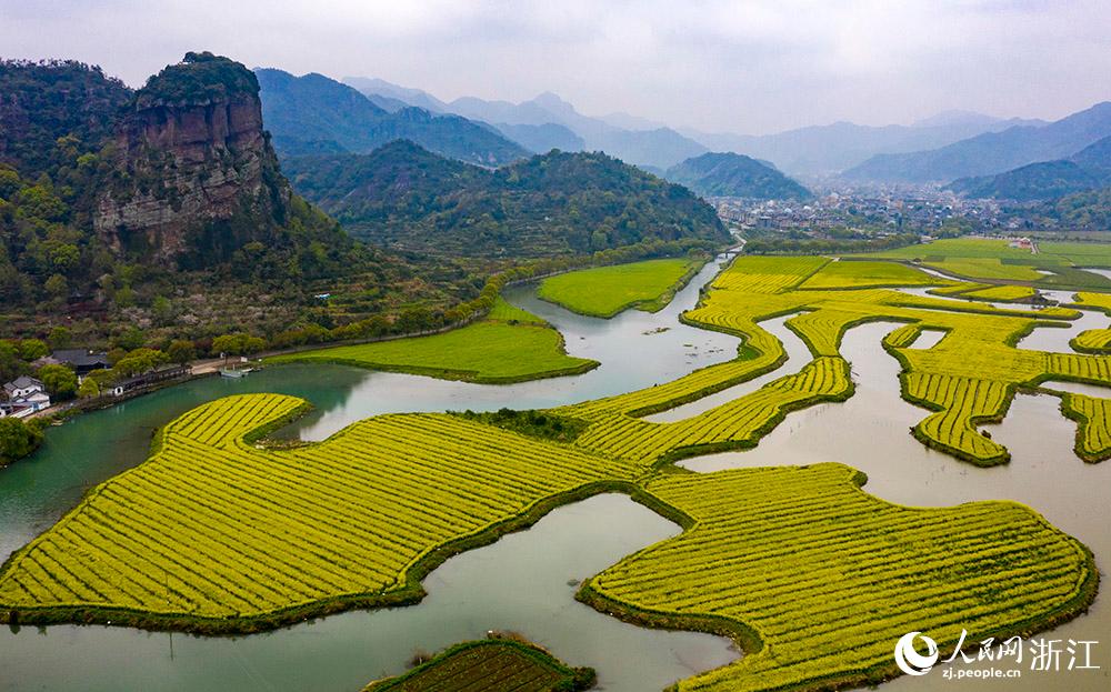 3月28日，航拍浙江省臨海市桃渚鎮(zhèn)桃江十三渚盛開的油菜花景色。人民網(wǎng) 章勇濤攝