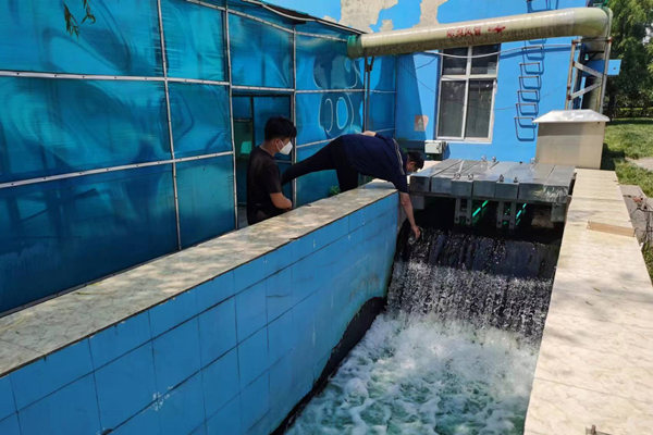 邯鄲市雞澤縣藍天污水處理廠員工正在出水口進行水質檢測。鄭佳欣攝