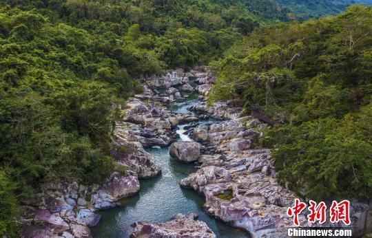 2018年海南生態(tài)環(huán)境狀況等級(jí)為“優(yōu)”，植被覆蓋率高，生物多樣性豐富，生態(tài)系統(tǒng)穩(wěn)定，圖為海南中部熱帶雨林?！●樤骑w　攝