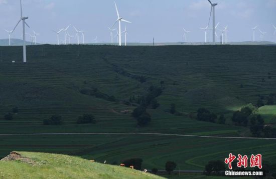 6月28日，河北張家口張北草原上大片風力發(fā)電的“風車”規(guī)模宏大。 中新社記者 楊艷敏 攝