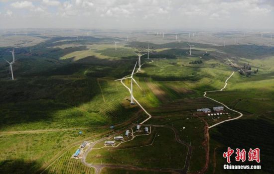 6月28日，河北張家口張北草原上大片風力發(fā)電的“風車”規(guī)模宏大。 中新社記者 楊艷敏 攝