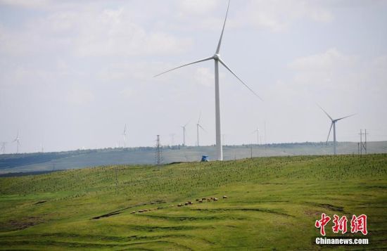 6月28日，河北張家口張北草原上大片風力發(fā)電的“風車”規(guī)模宏大。 中新社記者 楊艷敏 攝