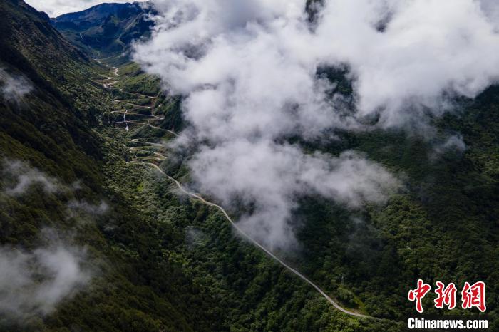 西藏山南勒布溝景區(qū)的盤山公路被云霧環(huán)繞?！〗w波 攝