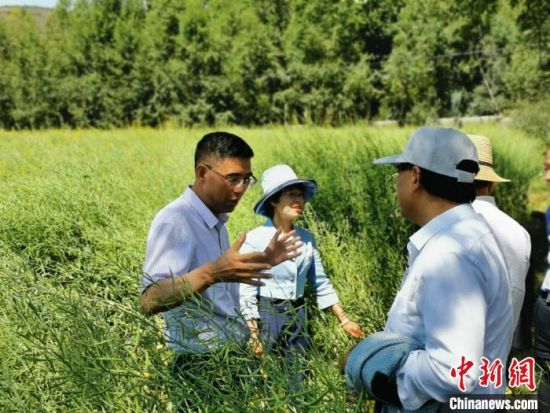 圖為九三學(xué)社青海省委主委杜德志(左一)在基層調(diào)研。受訪者供圖