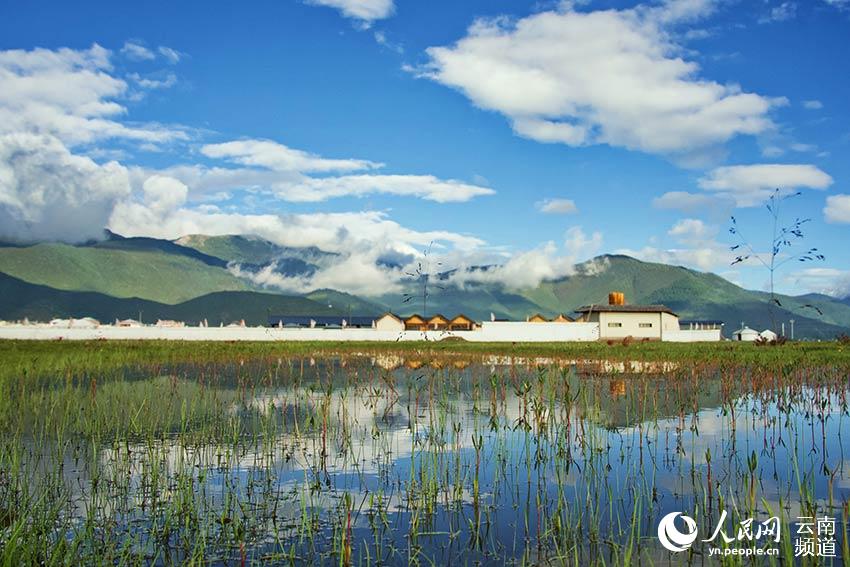 納帕海濕地風(fēng)景。呂昊辰攝