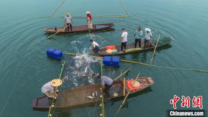 捕魚現(xiàn)場?！≈鬓k方供圖