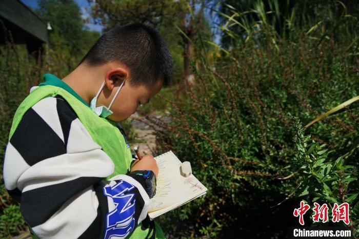 圖為小朋友在青海西寧湟水國家濕地公園內(nèi)認(rèn)識植物并進(jìn)行繪畫。　馬銘言 攝