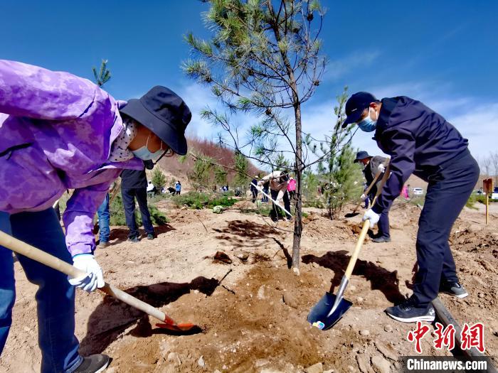 青海掀起春季義務(wù)植樹高潮今年計(jì)劃義務(wù)植樹1500萬(wàn)株