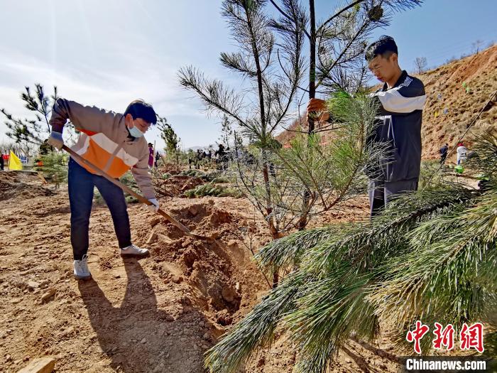 圖為西寧市城東區(qū)義務(wù)植樹活動(dòng)現(xiàn)場(chǎng)?！?zhí)砀?攝