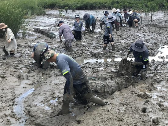 大學師生在行走中解碼大自然