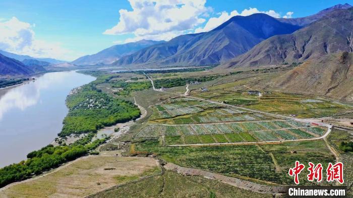 圖為桑日縣葡萄種植基地。　山南桑日縣委宣傳部提供