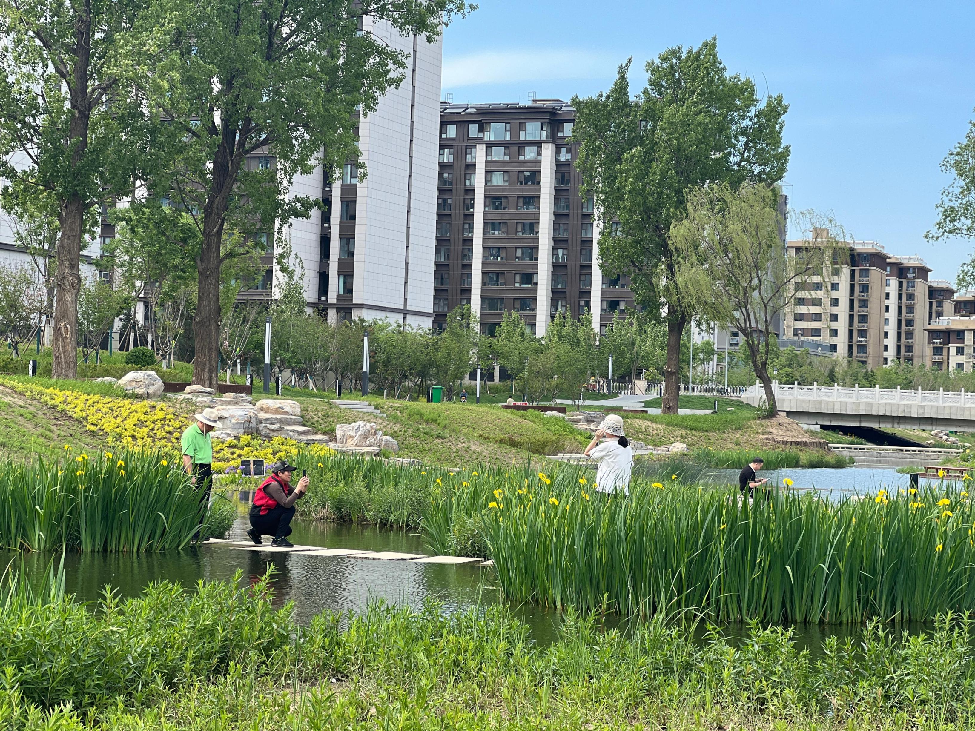 五一渠生態(tài)濱河公園內(nèi)，市民正在拍照留念。人民網(wǎng) 歐陽(yáng)易佳攝