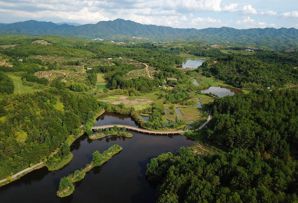 福建省龍巖市長(zhǎng)汀縣的長(zhǎng)汀汀江國(guó)家濕地公園景色（2020年7月28日攝，無(wú)人機(jī)照片）。新華社記者 魏培全 攝