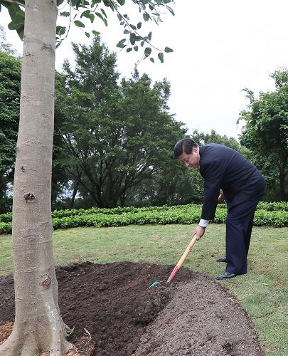 2012年12月7日至11日，習近平在廣東省考察工作。這是8日上午，習近平在深圳蓮花山公園種下一棵高山榕樹。新華社記者 蘭紅光 攝