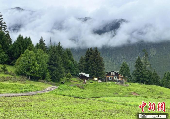 6月10日，魯朗小鎮(zhèn)高山牧場景區(qū)風(fēng)光?！∪轿木?攝