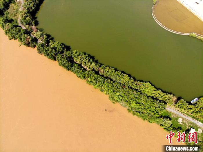 圖為2020年9月3日航拍黃河蘭州段濕地公園現(xiàn)黃河“鴛鴦鍋”。(資料圖) 高瑩 攝