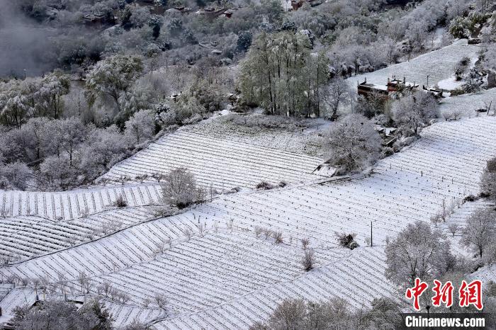 雪后的高山田間如畫?！±钣腊?攝