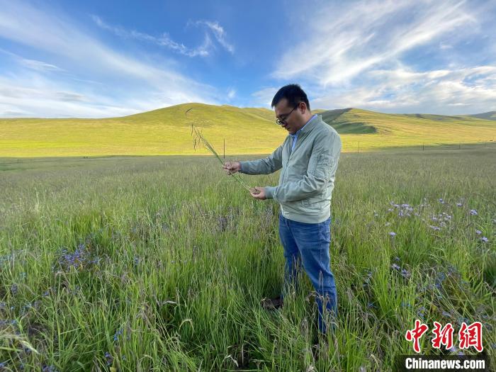 青海達(dá)日“援青縣長(zhǎng)”：雪域高原生態(tài)、民生“并蒂花開(kāi)”