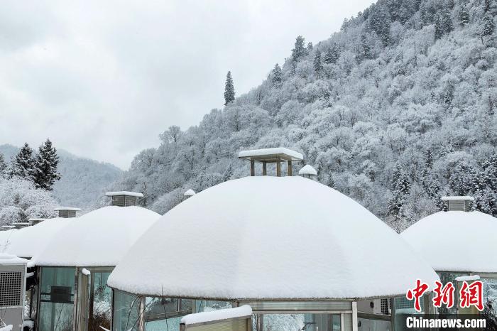 大熊貓國(guó)家公園王朗片區(qū)春雪如畫，宛若仙境?！×_春平 攝