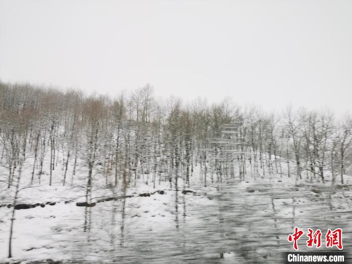 圖為青海青沙山區(qū)域被降雪覆蓋?！?zhí)砀?攝