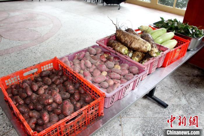 圖為亞東邊檢站“警營菜園”喜獲豐收的蔬菜?！⊥鯑|東 攝