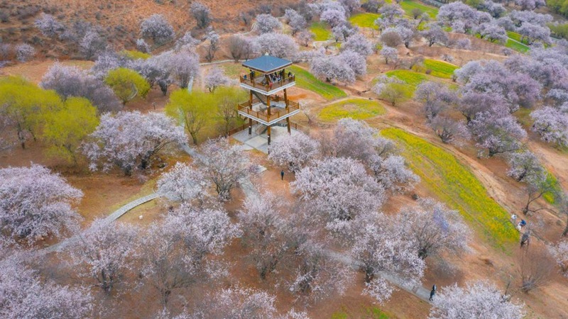 林芝嘎拉村。 張靜攝