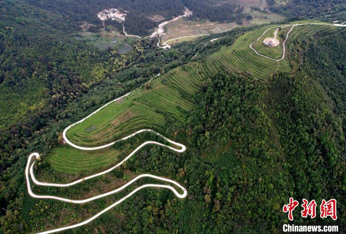 圖為西藏林芝市墨脫縣背崩鄉(xiāng)格林村山頂的景觀茶園。(無人機照片) 李林 攝