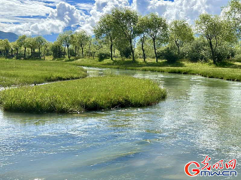 我們的家園丨【組圖】 綠水青山入畫，“金山銀山”筑起