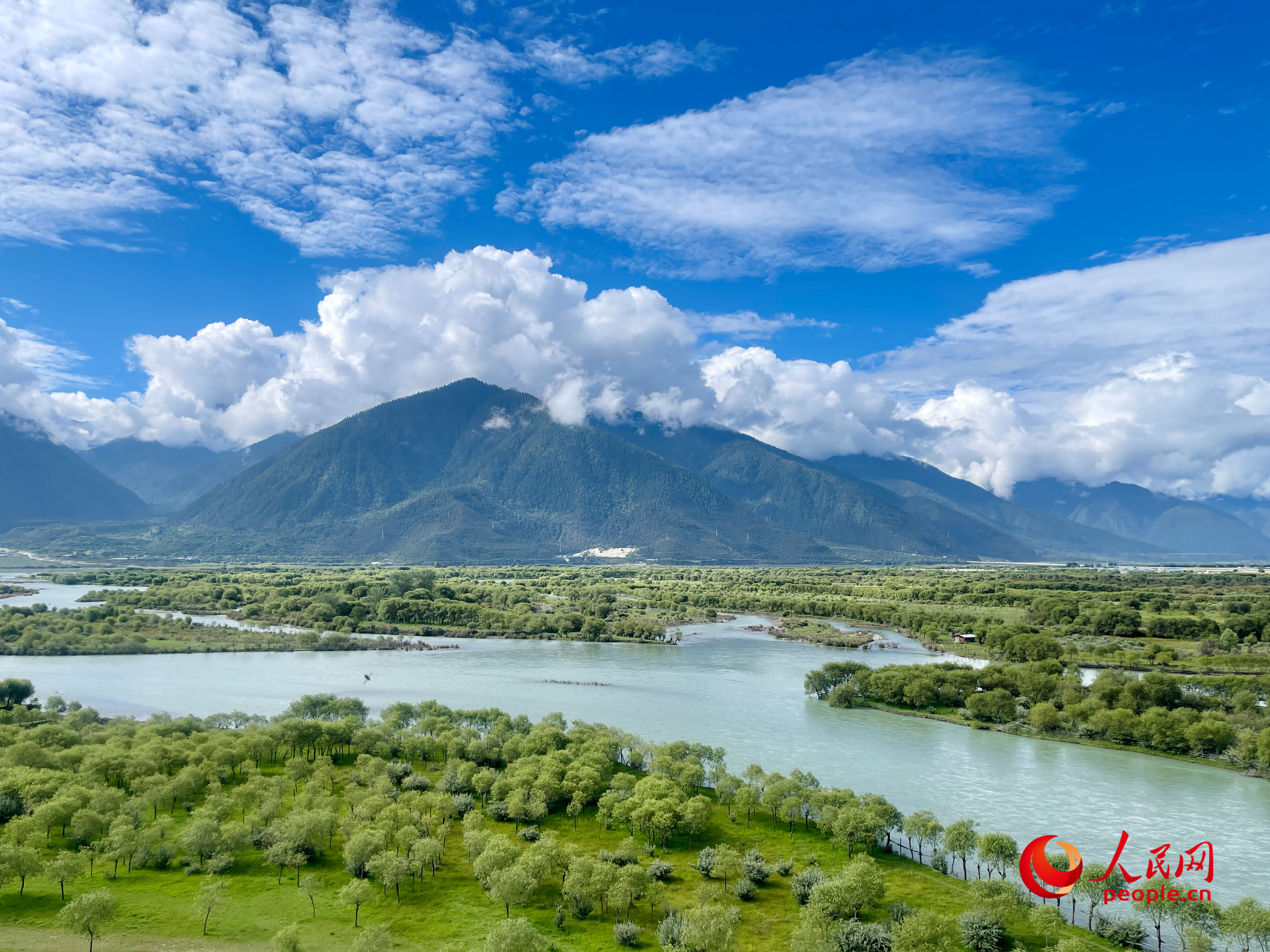 夏日的雅尼國家濕地公園生機盎然，如詩如畫。人民網(wǎng) 周靜圓攝