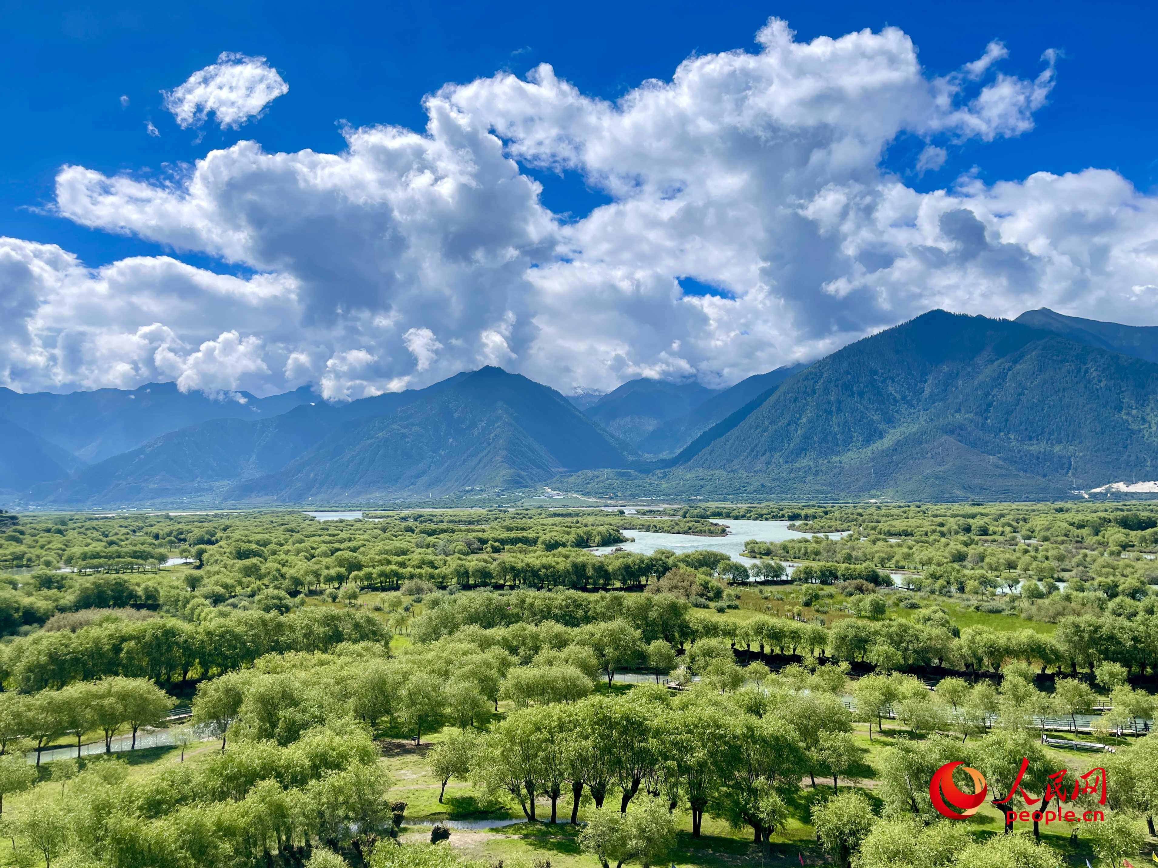 夏日的雅尼國家濕地公園生機盎然，如詩如畫。人民網(wǎng) 周靜圓攝