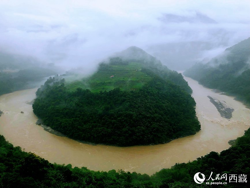 雅魯藏布江大峽谷蛇形拐彎處，山坡上種滿茶樹。